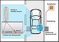 ProContour hat ein System zur Messung von Reifenprofiltiefen im fließenden Verkehr entwickelt. Grafik: Auto-Reporter/ProContour 